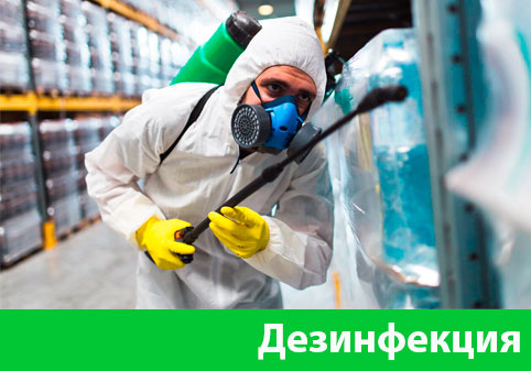 Дезинфекция в городе Чехов