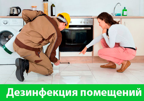 Дезинфекция офисов от коронавируса в городе Чехов