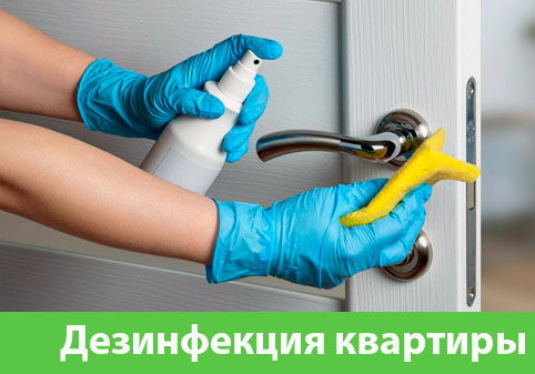 Дезинфекция квартиры в городе Чехов