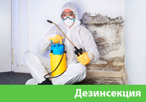 Дезинсекция в городе Чехов