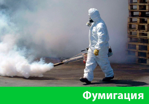Фумигация в городе Чехов