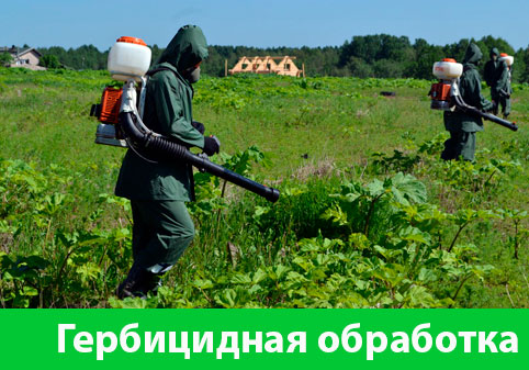 Гербицидная обработка в городе Чехов