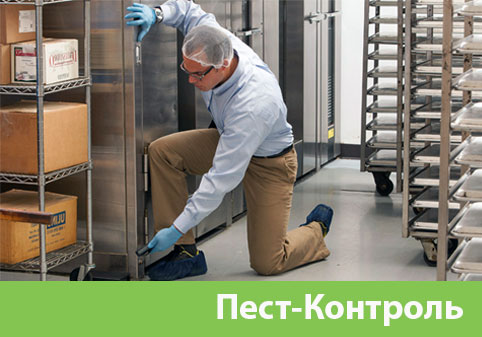 Пэст-Контроль в городе Чехов