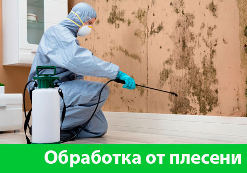 Обработка от плесени в городе Чехов