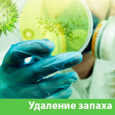 Удаление запахов в Чехове