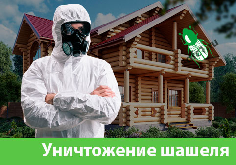 Уничтожение шашеля и личинок в Чехове
