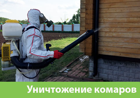 Уничтожение комаров в городе Чехов